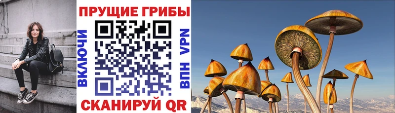 Галлюциногенные грибы Magic Shrooms  МЕГА ссылка  Минусинск 